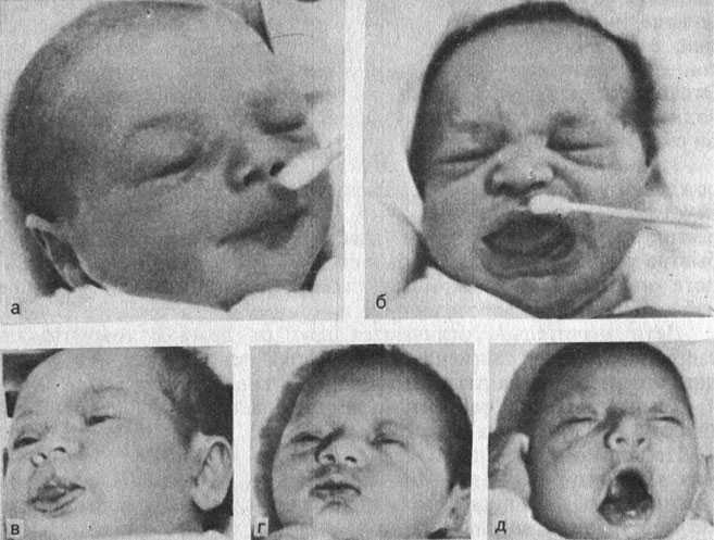 Реакция новорожденного на запах