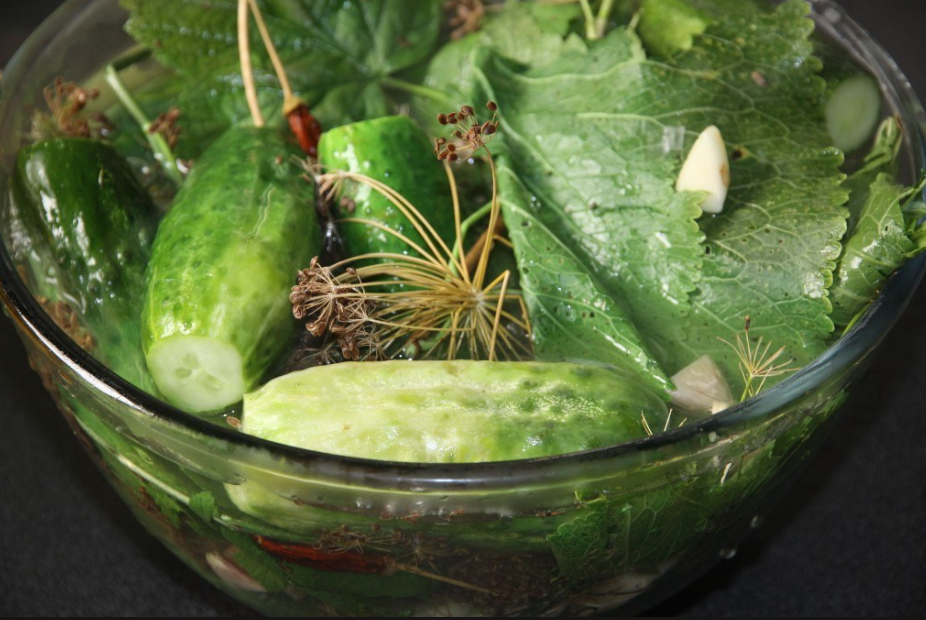 Рецепты малосольных огурцов с чесноком и зеленью быстрого приготовления