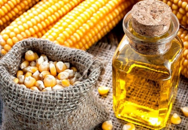 Кукуруза и кукурузное масло