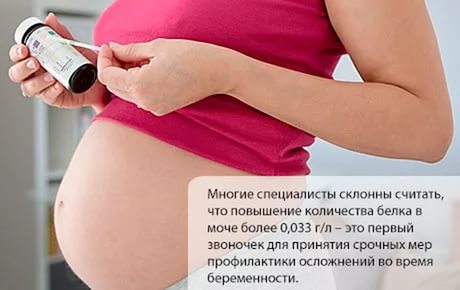 белок в моче при беременности на поздних сроках