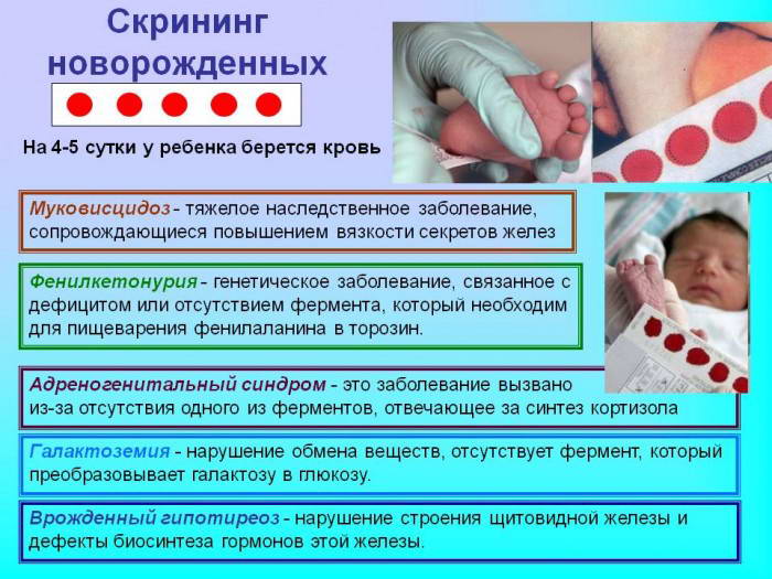 Скрининг новорожденных в роддоме-описание анализов