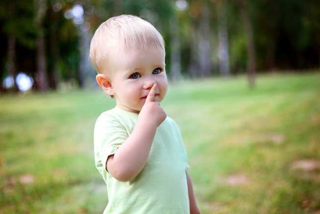 ребенок в 1 год и 3 месяца указывает на свой нос
