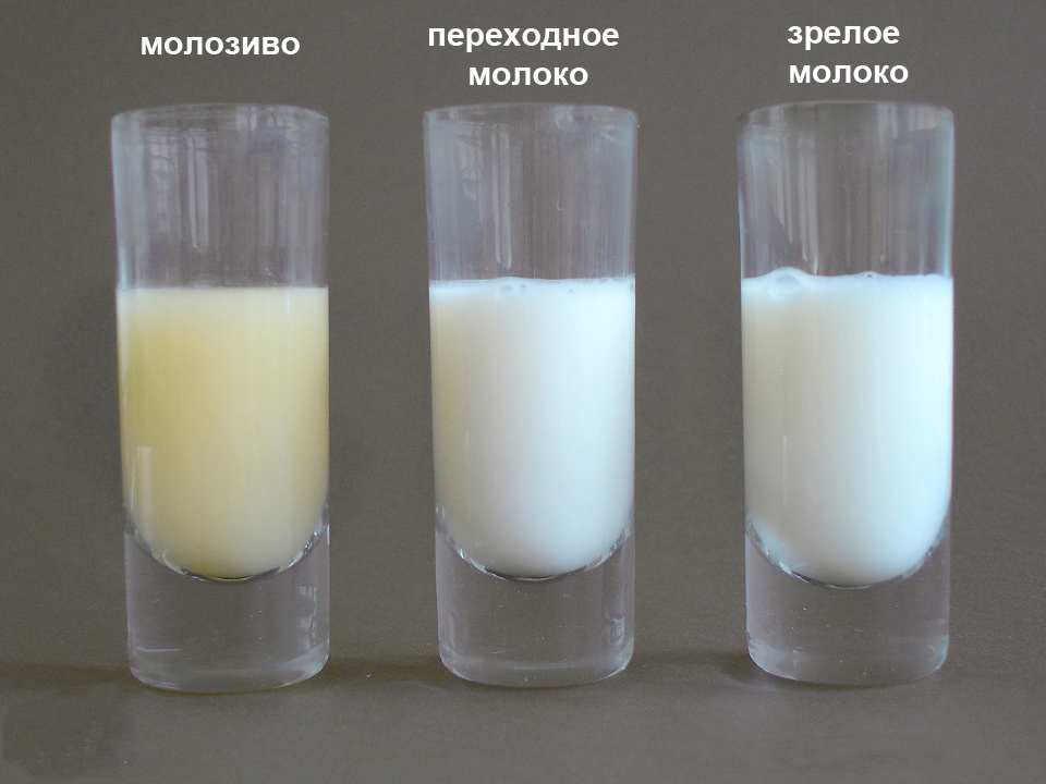 Малозиво,переходное и зрелое молоко
