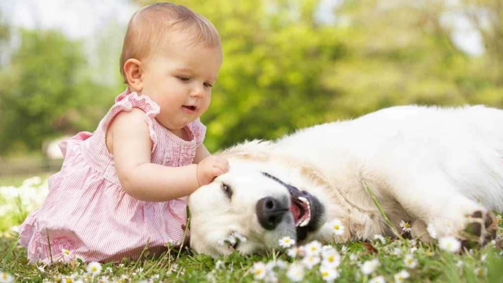 Ребенк в 1 год и 2 месяца интересуется животными